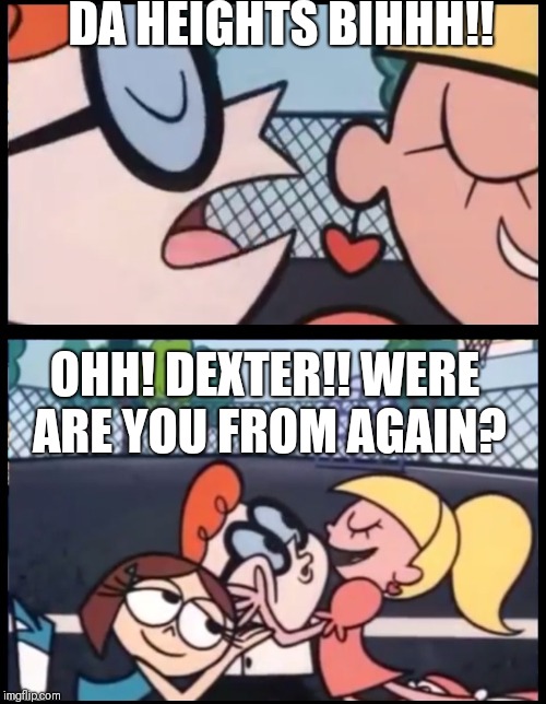 DA HEIGHTS BIHHH!! OHH! DEXTER!! WERE ARE YOU FROM AGAIN? | image tagged in memes | made w/ Imgflip meme maker