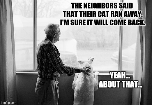 On the Plus Side, You Won't Be Finding Cat Turds in the Begonias Anymore | THE NEIGHBORS SAID THAT THEIR CAT RAN AWAY. I'M SURE IT WILL COME BACK. YEAH... ABOUT THAT... | image tagged in cats and dogs,dogs an cats,old man | made w/ Imgflip meme maker