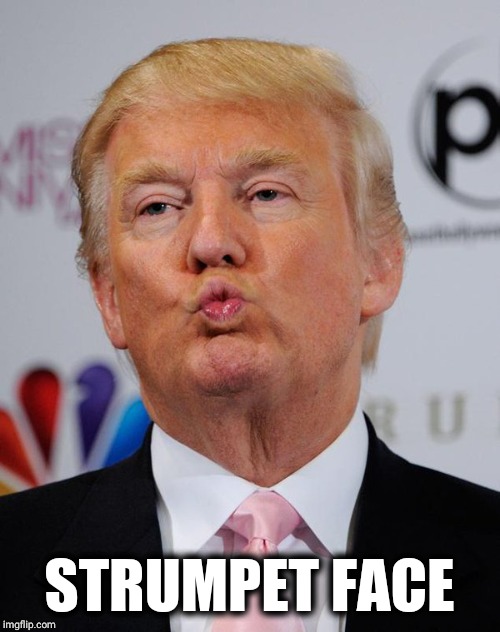 Trump Strumpet  | STRUMPET FACE | image tagged in trump kiss,is mayonnaise an instrument,trump,politics,memes,funny | made w/ Imgflip meme maker