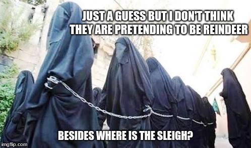 Islamic Christmas play practice or Abuse, you decide.  | JUST A GUESS BUT I DON'T THINK THEY ARE PRETENDING TO BE REINDEER; BESIDES WHERE IS THE SLEIGH? | image tagged in muslim woman,wth,radical islam,abuse,slavery | made w/ Imgflip meme maker