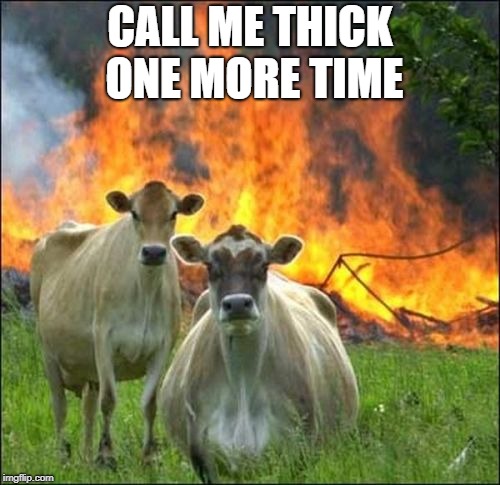 Evil Cows Meme | CALL ME THICK ONE MORE TIME | image tagged in memes,evil cows | made w/ Imgflip meme maker