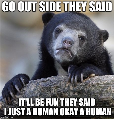 Confession Bear Meme | GO OUT SIDE THEY SAID; IT'LL BE FUN THEY SAID I JUST A HUMAN OKAY A HUMAN | image tagged in memes,confession bear | made w/ Imgflip meme maker