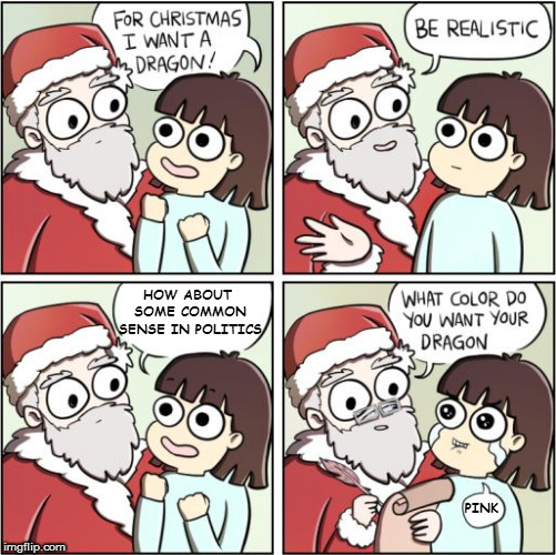 "Listen and believe" is NOT common sense | HOW ABOUT SOME COMMON SENSE IN POLITICS; PINK | image tagged in memes,for christmas i want a dragon | made w/ Imgflip meme maker