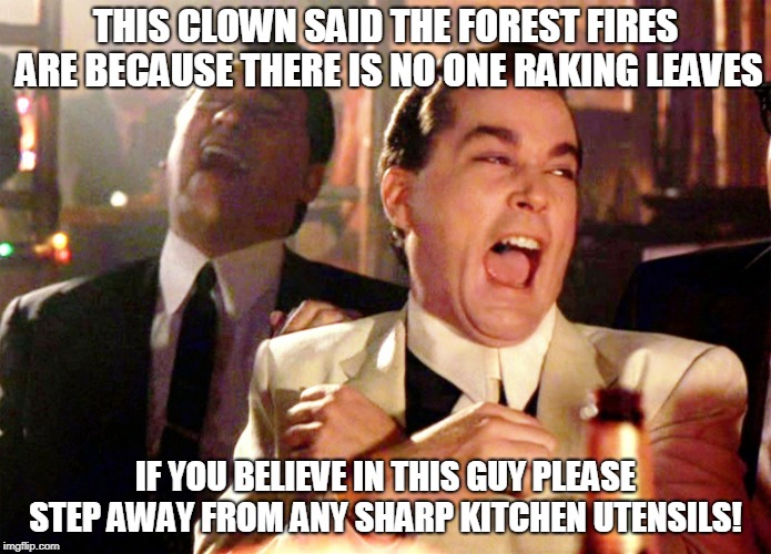 Good Fellas Hilarious Meme | THIS CLOWN SAID THE FOREST FIRES ARE BECAUSE THERE IS NO ONE RAKING LEAVES; IF YOU BELIEVE IN THIS GUY PLEASE STEP AWAY FROM ANY SHARP KITCHEN UTENSILS! | image tagged in memes,good fellas hilarious | made w/ Imgflip meme maker