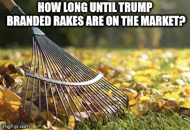 Rake | HOW LONG UNTIL TRUMP BRANDED RAKES ARE ON THE MARKET? | image tagged in rake | made w/ Imgflip meme maker