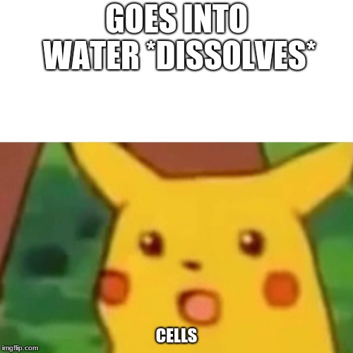 Surprised Pikachu Meme | GOES INTO WATER *DISSOLVES*; CELLS | image tagged in memes,surprised pikachu | made w/ Imgflip meme maker