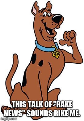 Scooby Doo | THIS TALK OF "RAKE NEWS" SOUNDS RIKE ME. | image tagged in scooby doo | made w/ Imgflip meme maker