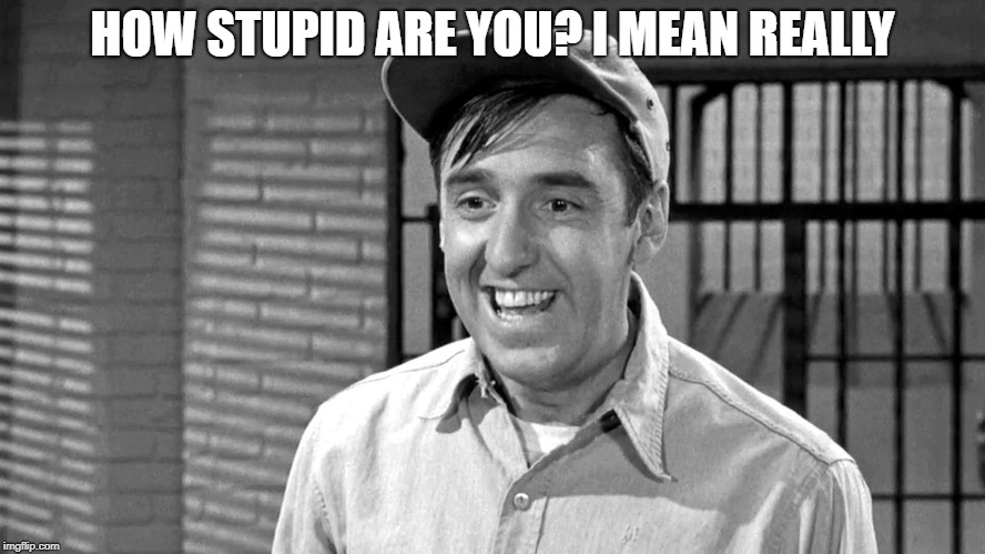 Golly | HOW STUPID ARE YOU? I MEAN REALLY | image tagged in golly | made w/ Imgflip meme maker