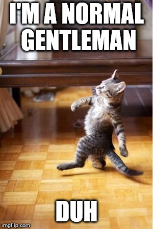 Walking Cat | I'M A NORMAL GENTLEMAN; DUH | image tagged in walking cat | made w/ Imgflip meme maker