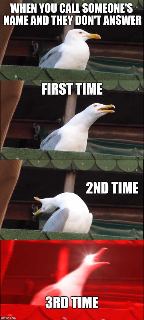 Inhaling Seagull | WHEN YOU CALL SOMEONE'S NAME AND THEY DON'T ANSWER; FIRST TIME; 2ND TIME; 3RD TIME | image tagged in memes,inhaling seagull | made w/ Imgflip meme maker