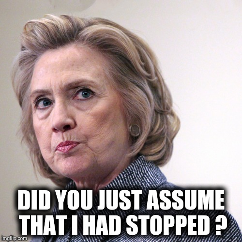 hillary clinton pissed | DID YOU JUST ASSUME THAT I HAD STOPPED ? | image tagged in hillary clinton pissed | made w/ Imgflip meme maker