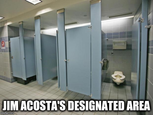 Bathroom stall | JIM ACOSTA'S DESIGNATED AREA | image tagged in bathroom stall | made w/ Imgflip meme maker
