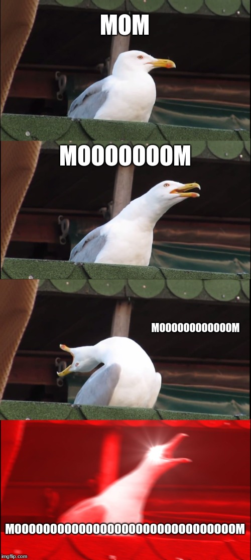 Inhaling Seagull | MOM; MOOOOOOOM; MOOOOOOOOOOOOM; MOOOOOOOOOOOOOOOOOOOOOOOOOOOOOOOM | image tagged in memes,inhaling seagull | made w/ Imgflip meme maker
