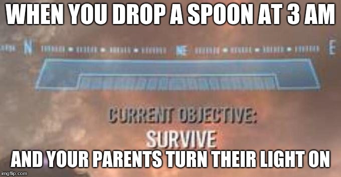 Current Objective: Survive | WHEN YOU DROP A SPOON AT 3 AM; AND YOUR PARENTS TURN THEIR LIGHT ON | image tagged in current objective survive | made w/ Imgflip meme maker