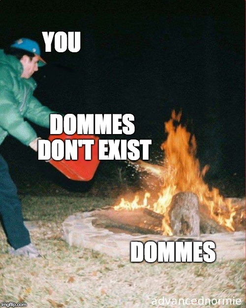 pouring gas on fire | YOU; DOMMES DON'T EXIST; DOMMES | image tagged in pouring gas on fire | made w/ Imgflip meme maker