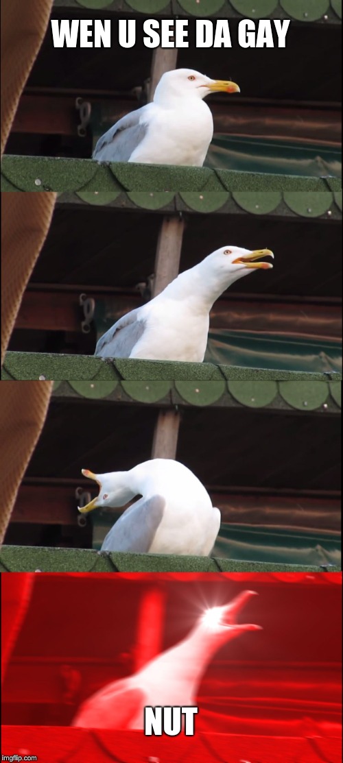 Inhaling Seagull Meme | WEN U SEE DA GAY; NUT | image tagged in memes,inhaling seagull | made w/ Imgflip meme maker