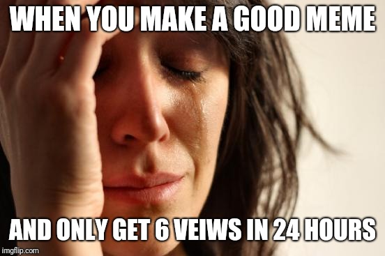 First World Problems Meme | WHEN YOU MAKE A GOOD MEME; AND ONLY GET 6 VEIWS IN 24 HOURS | image tagged in memes,first world problems | made w/ Imgflip meme maker