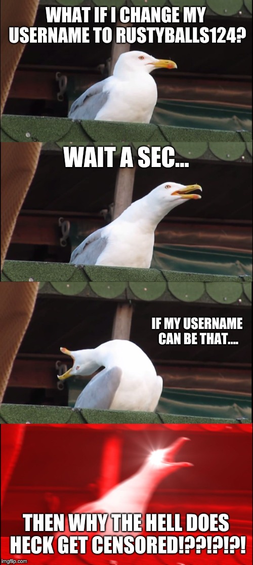 Inhaling Seagull | WHAT IF I CHANGE MY USERNAME TO RUSTYBALLS124? WAIT A SEC... IF MY USERNAME CAN BE THAT.... THEN WHY THE HELL DOES HECK GET CENSORED!??!?!?! | image tagged in memes,inhaling seagull | made w/ Imgflip meme maker
