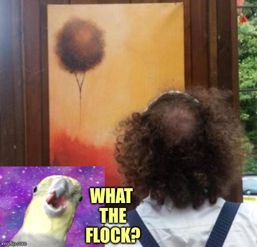 Home sweet home. | WHAT THE FLOCK? | image tagged in art,bird,memes,funny | made w/ Imgflip meme maker