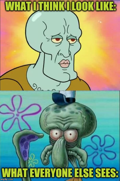 Squidward Meme | WHAT I THINK I LOOK LIKE:; WHAT EVERYONE ELSE SEES: | image tagged in memes,squidward | made w/ Imgflip meme maker