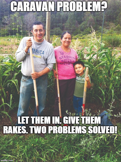 Caravan Problem Solved! | CARAVAN PROBLEM? LET THEM IN. GIVE THEM RAKES. TWO PROBLEMS SOLVED! | image tagged in political meme | made w/ Imgflip meme maker