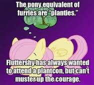 She always wanted to be a tree! | image tagged in memes,fluttershy,ponies,embarrassing | made w/ Imgflip meme maker