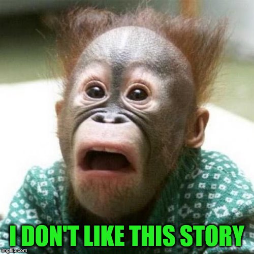 Shocked Monkey | I DON'T LIKE THIS STORY | image tagged in shocked monkey | made w/ Imgflip meme maker
