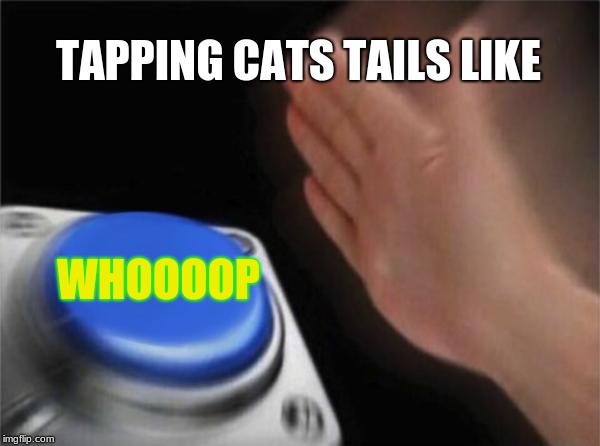 Blank Nut Button Meme | TAPPING CATS TAILS LIKE; WHOOOOP | image tagged in memes,blank nut button | made w/ Imgflip meme maker