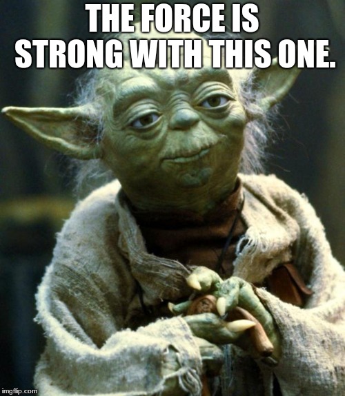 Star Wars Yoda Meme | THE FORCE IS STRONG WITH THIS ONE. | image tagged in memes,star wars yoda | made w/ Imgflip meme maker