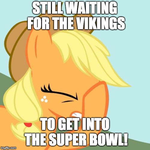 AJ face hoof | STILL WAITING FOR THE VIKINGS TO GET INTO THE SUPER BOWL! | image tagged in aj face hoof | made w/ Imgflip meme maker