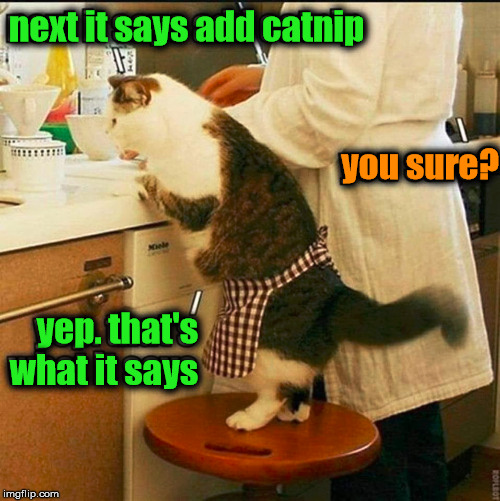 Cats do like the cat nip | next it says add catnip; you sure? yep. that's what it says | image tagged in memes,cats,catnip,cooking,funny | made w/ Imgflip meme maker