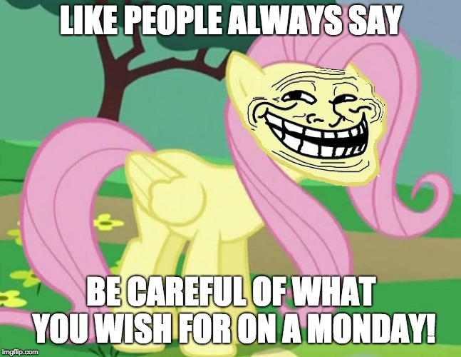 Fluttertroll | LIKE PEOPLE ALWAYS SAY BE CAREFUL OF WHAT YOU WISH FOR ON A MONDAY! | image tagged in fluttertroll | made w/ Imgflip meme maker