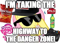 MLG Pony | I'M TAKING THE HIGHWAY TO THE DANGER ZONE! | image tagged in mlg pony | made w/ Imgflip meme maker
