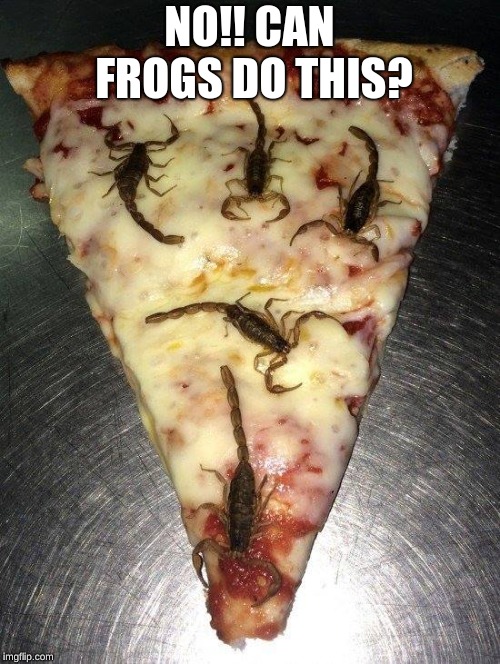 scorpion pizza | NO!! CAN FROGS DO THIS? | image tagged in scorpion pizza | made w/ Imgflip meme maker