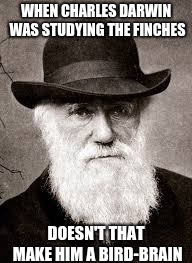 Charles Darwin | WHEN CHARLES DARWIN WAS STUDYING THE FINCHES; DOESN'T THAT MAKE HIM A BIRD-BRAIN | image tagged in charles darwin | made w/ Imgflip meme maker