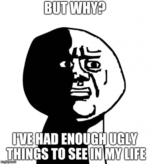 Oh god why | BUT WHY? I'VE HAD ENOUGH UGLY THINGS TO SEE IN MY LIFE | image tagged in oh god why | made w/ Imgflip meme maker
