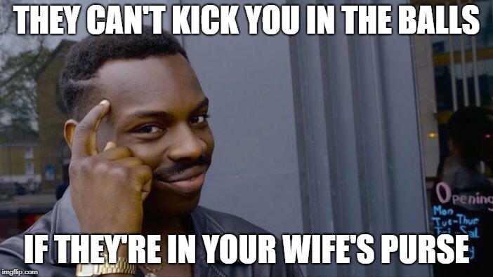 Safe and Sound | THEY CAN'T KICK YOU IN THE BALLS; IF THEY'RE IN YOUR WIFE'S PURSE | image tagged in memes,roll safe think about it,marital bliss | made w/ Imgflip meme maker