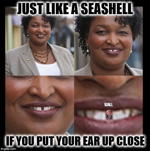 JUST LIKE A SEASHELL; IF YOU PUT YOUR EAR UP CLOSE | image tagged in donald trump,build a wall,maga,cnn fake news | made w/ Imgflip meme maker