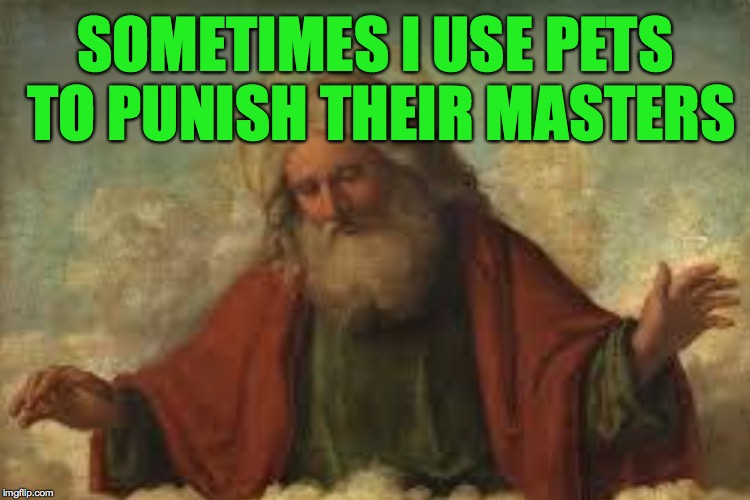 SOMETIMES I USE PETS TO PUNISH THEIR MASTERS | made w/ Imgflip meme maker