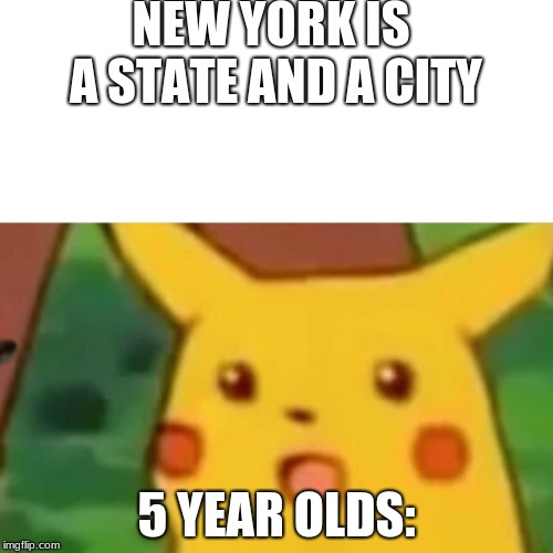 NEW YORK IS A STATE AND A CITY; 5 YEAR OLDS: | image tagged in scumbag | made w/ Imgflip meme maker