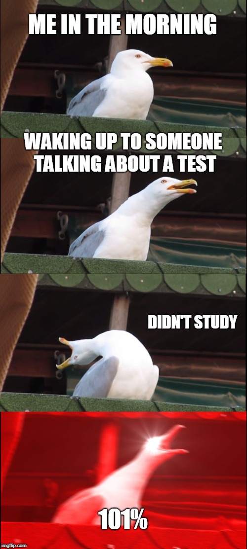 Inhaling Seagull | ME IN THE MORNING; WAKING UP TO SOMEONE TALKING ABOUT A TEST; DIDN'T STUDY; 101% | image tagged in memes,inhaling seagull | made w/ Imgflip meme maker