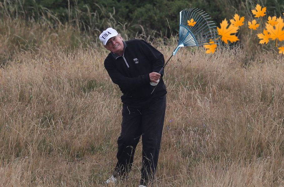 High Quality Trump raking Blank Meme Template