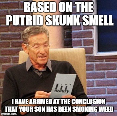 Maury Lie Detector Meme | BASED ON THE PUTRID SKUNK SMELL; I HAVE ARRIVED AT THE CONCLUSION THAT YOUR SON HAS BEEN SMOKING WEED | image tagged in memes,maury lie detector | made w/ Imgflip meme maker