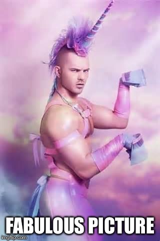 Gay Unicorn | FABULOUS PICTURE | image tagged in gay unicorn | made w/ Imgflip meme maker