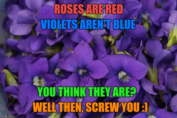 They are most certainly not blue. | VIOLETS AREN'T BLUE; ROSES ARE RED; YOU THINK THEY ARE? WELL THEN, SCREW YOU :) | image tagged in memes,funny,repost,roses are red violets are are blue,reposts | made w/ Imgflip meme maker