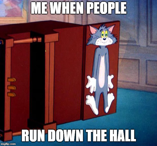Flat | ME WHEN PEOPLE; RUN DOWN THE HALL | image tagged in tom and jerry,flat,when you,me,tom,jerry | made w/ Imgflip meme maker