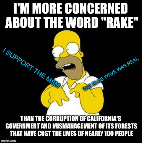 Homer Simpson Retarded | I'M MORE CONCERNED ABOUT THE WORD "RAKE" THAN THE CORRUPTION OF CALIFORNIA'S GOVERNMENT AND MISMANAGEMENT OF ITS FORESTS THAT HAVE COST THE  | image tagged in homer simpson retarded | made w/ Imgflip meme maker