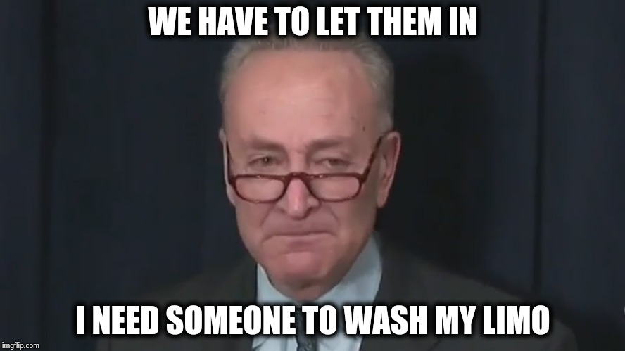 Chuck Schumer Crying | WE HAVE TO LET THEM IN I NEED SOMEONE TO WASH MY LIMO | image tagged in chuck schumer crying | made w/ Imgflip meme maker