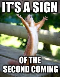 Praise Squirrel | IT’S A SIGN OF THE SECOND COMING | image tagged in praise squirrel | made w/ Imgflip meme maker