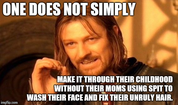 We All Share That Kind Of Gross  | ONE DOES NOT SIMPLY; MAKE IT THROUGH THEIR CHILDHOOD WITHOUT THEIR MOMS USING SPIT TO WASH THEIR FACE AND FIX THEIR UNRULY HAIR. | image tagged in memes,one does not simply,moms,mothers,kids,meme | made w/ Imgflip meme maker